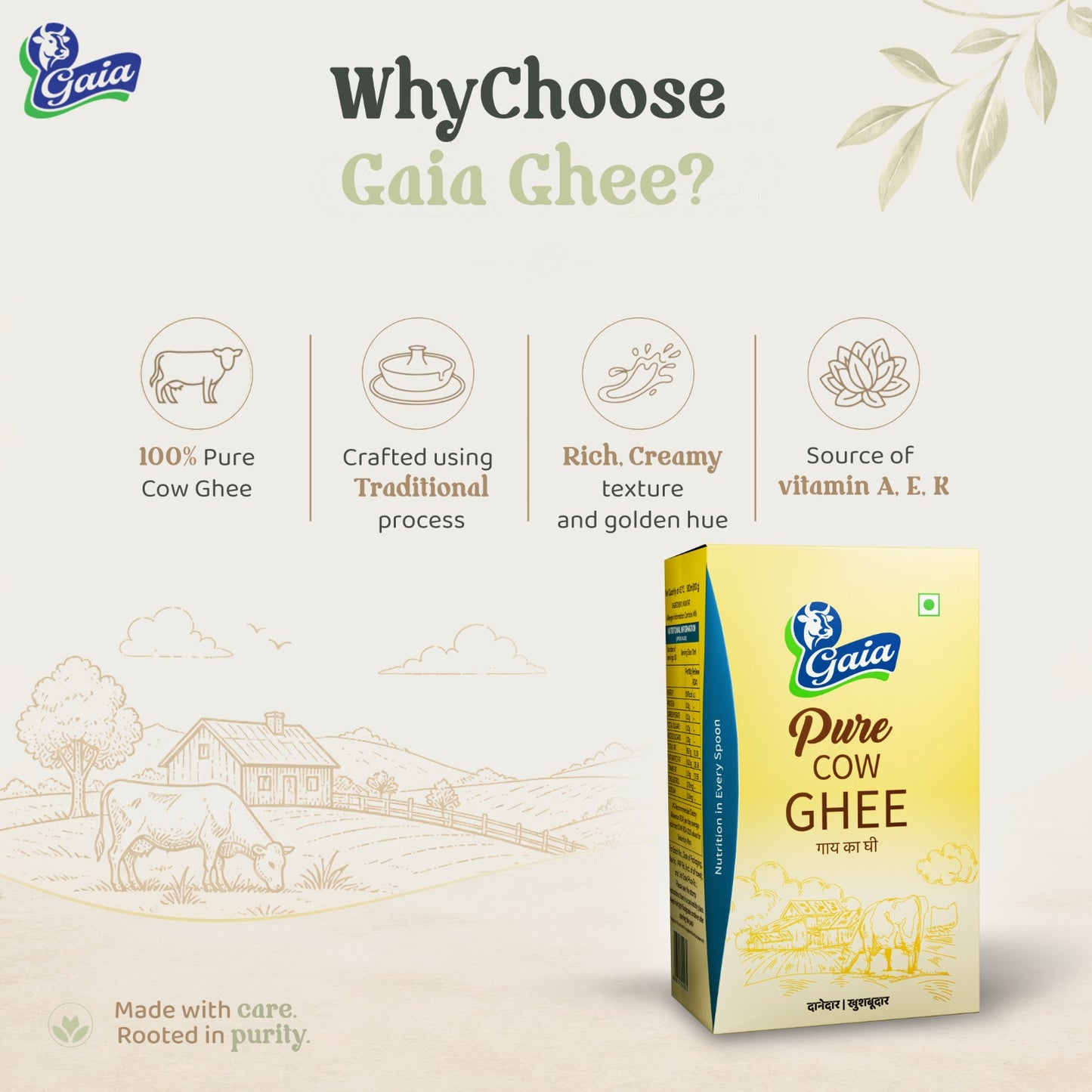 Pure Cow Ghee Ceka Pack
